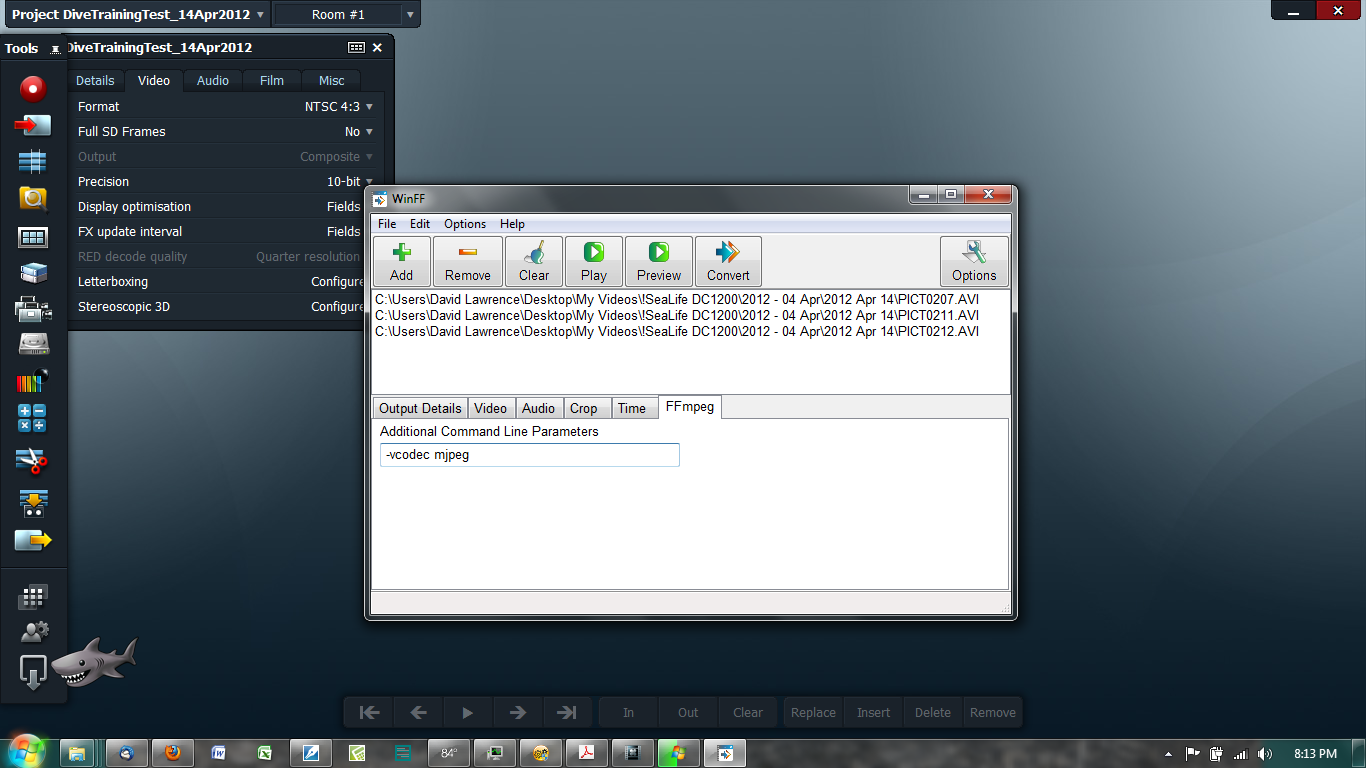 WinFF: FFmpeg option settings