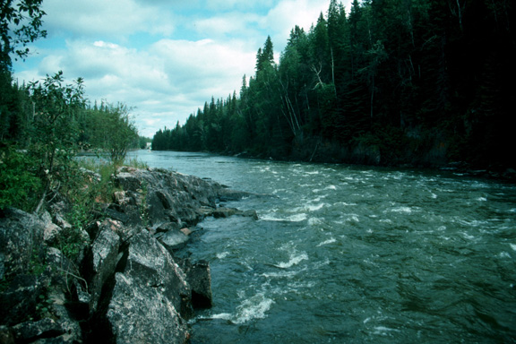 Grass River