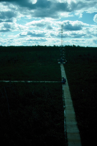 NSA fen