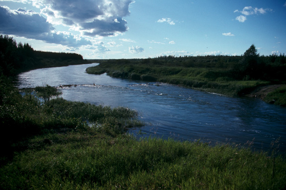 Torch River