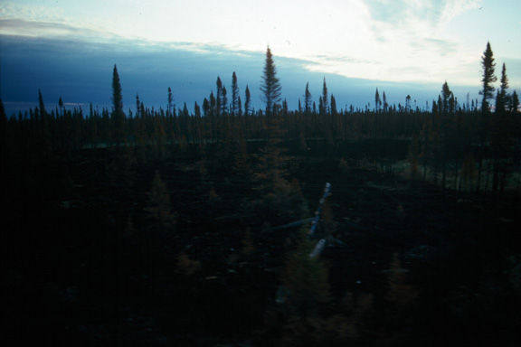 Sunrise from the train