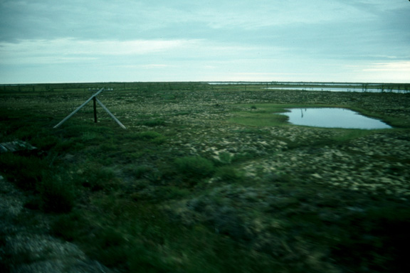 Wetlands & wires