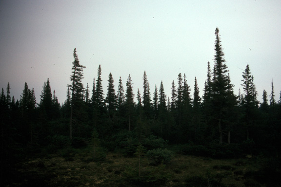 Twin Lakes Road