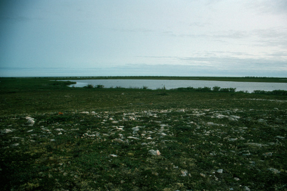 Christmas Lake