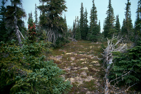 Christmas Lake Esker