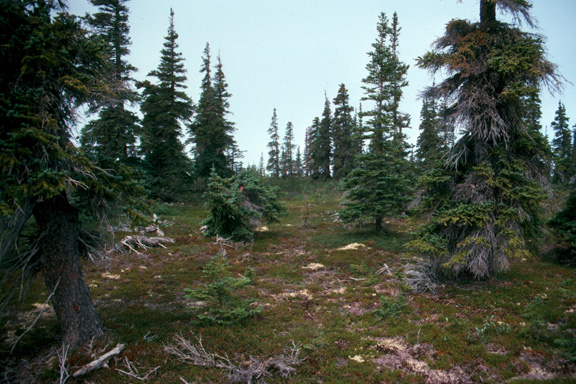 Christmas Lake Esker