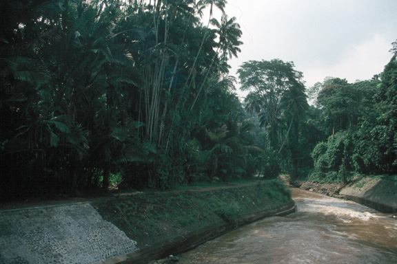 Bogor Botanical Garden