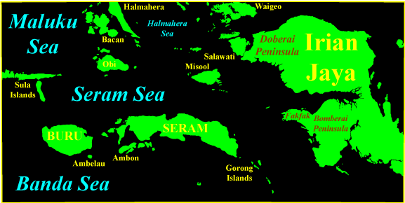 New Guinea and the Moluccas