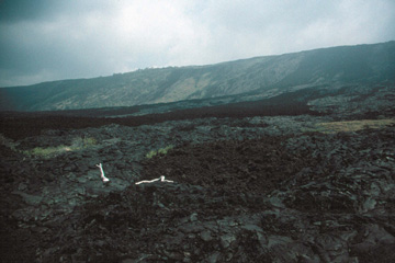 Kilauea Escarpment