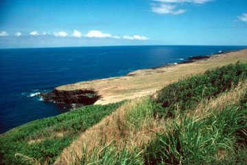 Southbound -- Pacific from Highway 11 Overlook
